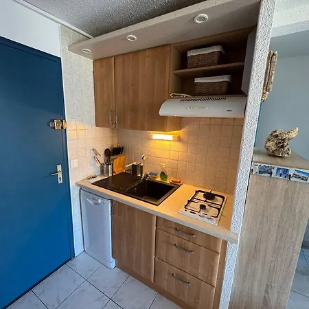 T2 Avec Piscine Et Parking Privatif Au Cap D'agde, Ideal Pour 4 Personnes - Fr-1-749-72 דירה