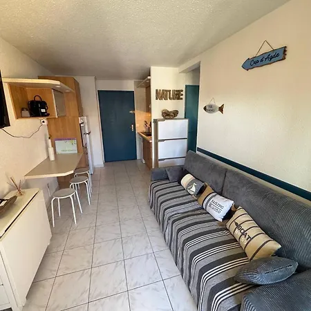 T2 Avec Piscine Et Parking Privatif Au Cap D'agde, Ideal Pour 4 Personnes - Fr-1-749-72 אגדה